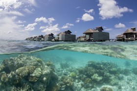 Laamu Water Villas Reef