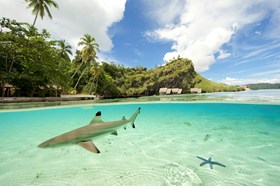 Misool Eco Resort Split Shark Lagoon (1)