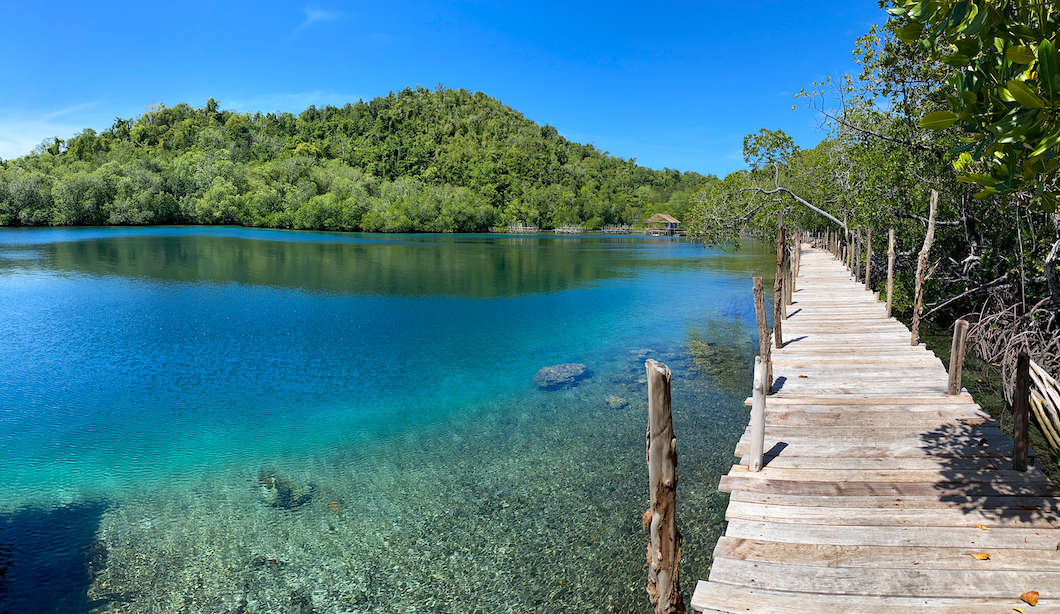 An inlet with a jetty in Raja Ampat