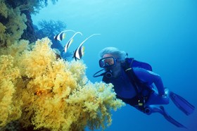Namena Marine Reserve Cousteau Dive