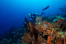 Jean Michel Cousteau Scuba Diving