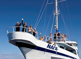 Naia Crew Top Deck