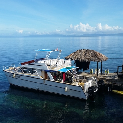 Paradise Taveuni Diving Boat