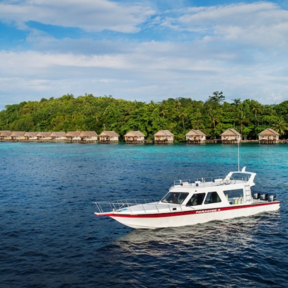 Dive Boat Papua Paradise Raja Ampat