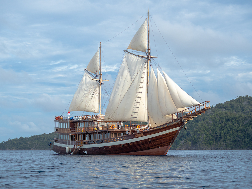 Coralia liveboard near sails island